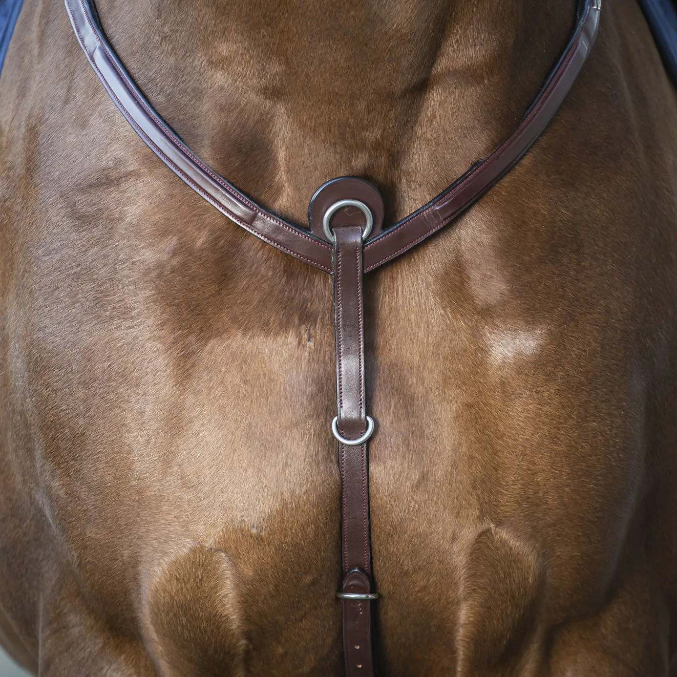 Dy'on New English Breastplate - Brown